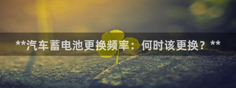 优发国际手机app下载安装最新版
