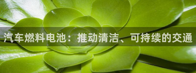 优发国际手机app下载安装官网