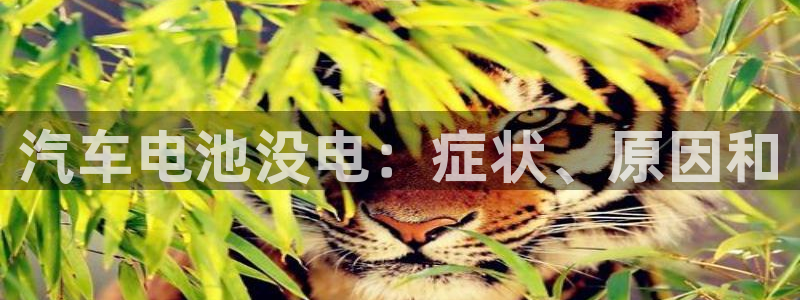 优发国际平台u8是什么