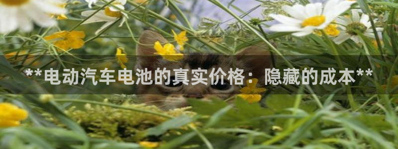 优发国际网站官网