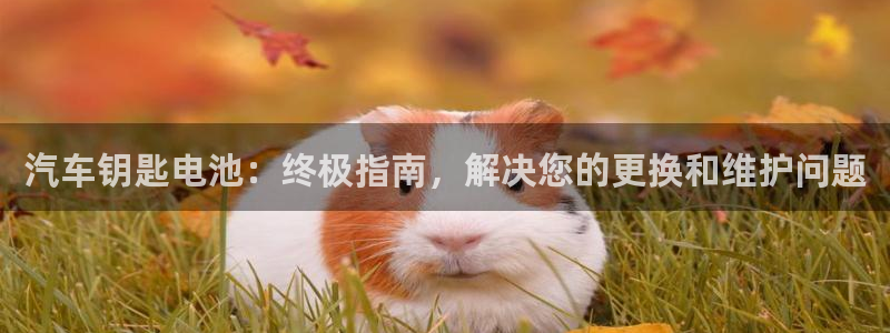 优发国际可以玩吗