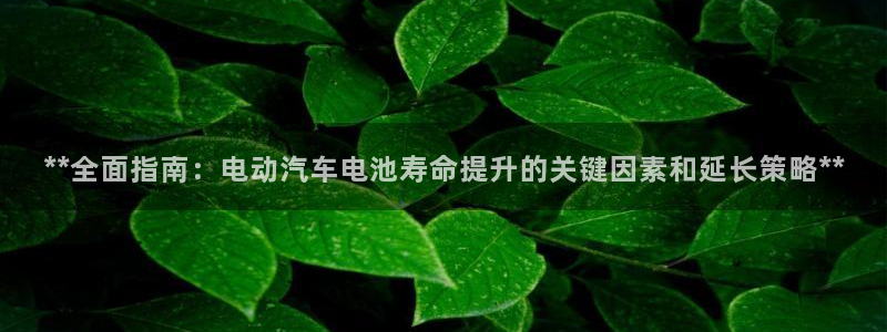 优发国际官方网手机版入口
