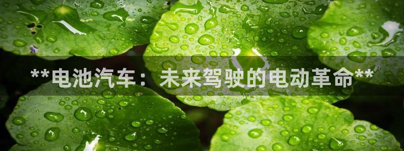 优发国际是大平台吗是真的吗