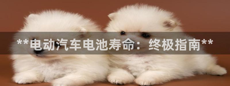 优发国际手机客户端下载不了