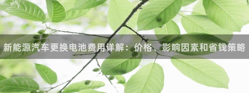 优发国际手机安装登录