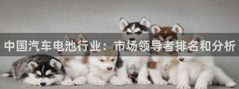 优发国际是大平台吗还是小平