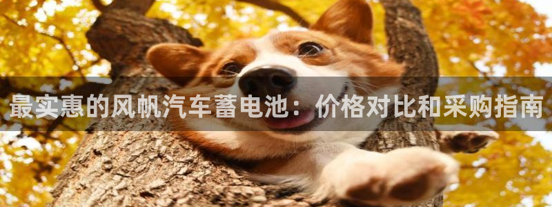 优发国际登录168