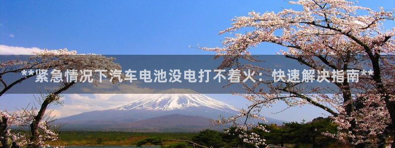 优发国际手机版网站入口