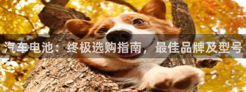 优发国际合并到哪里了啊