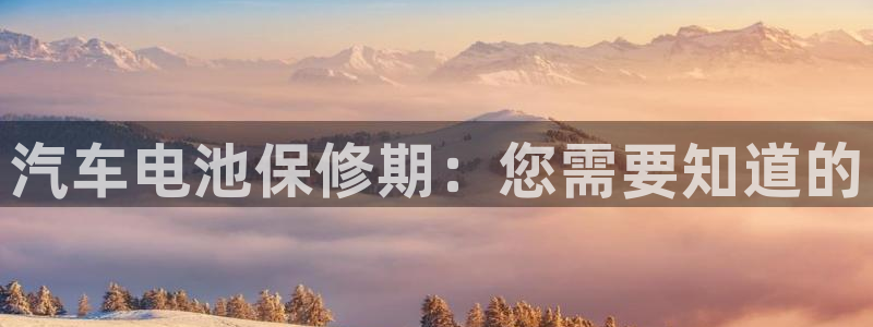 优发国际多少钱