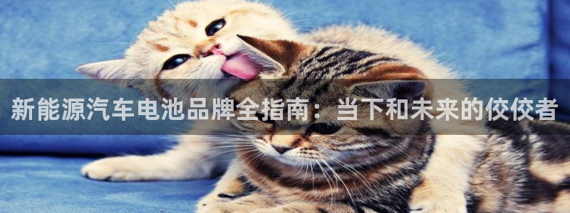 优发国际手机版网站登录