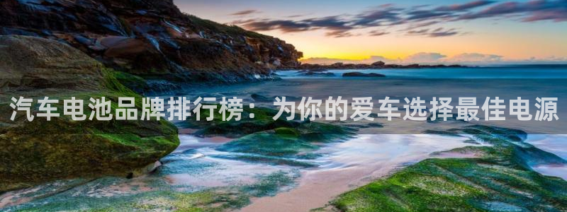 优发国际 干什么的