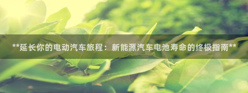优发国际平台u8怎么样