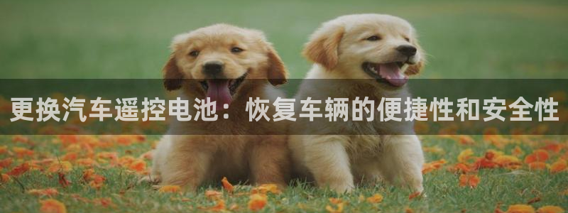 优发国际平台APP