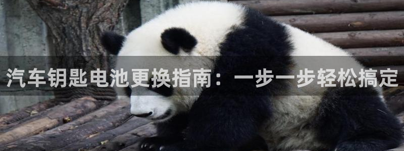 优发国际官网手机版