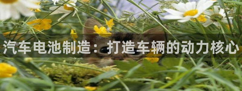 优发国际官网下载手机版