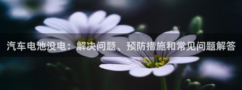 优发国际注册平台官网