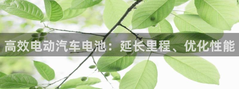 优发国际官网手机号