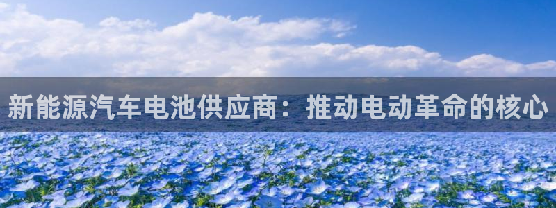 优发国际官方网平台电话