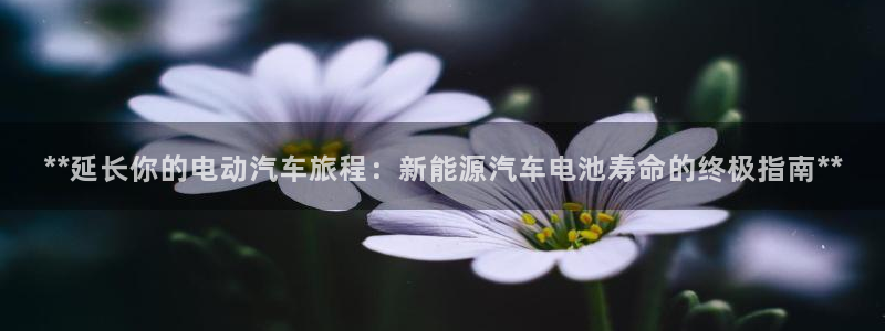 优发国际平台g8怎么样