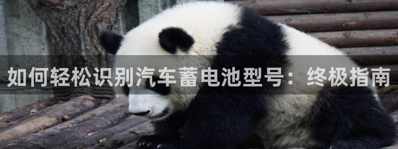 优发国际网站多少