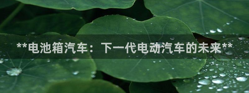 优发国际登陆u