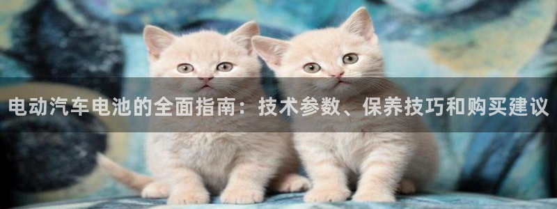优发国际手机版唯一官网下载