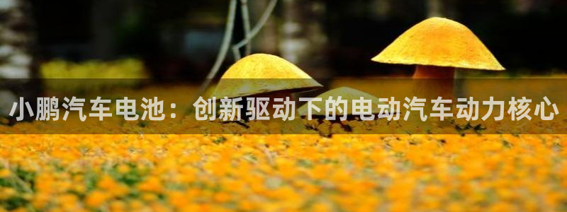 优发国际网官网17o8