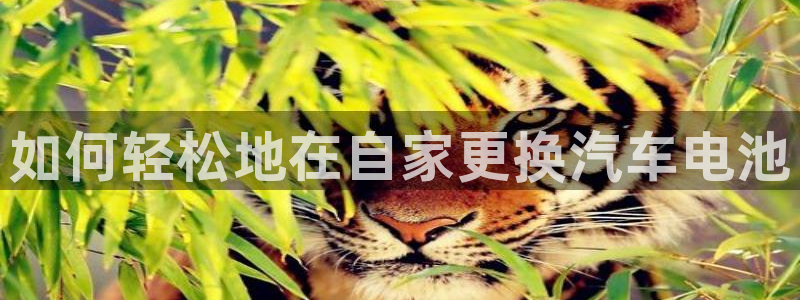 优发国际平台app下载