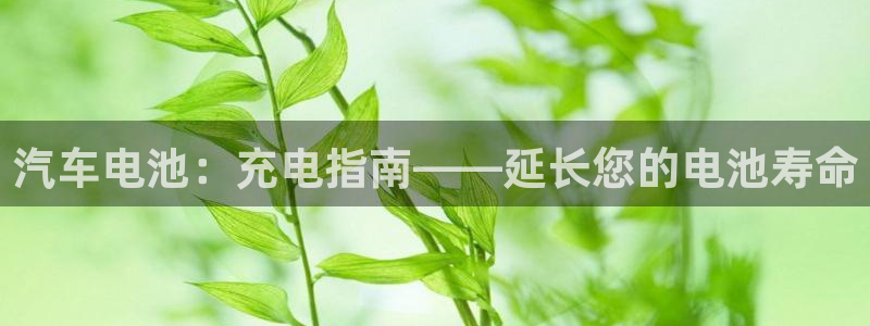 优发国际这个平台怎么样可靠吗