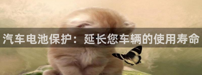 优发国际官网手机版下载