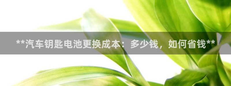 优发国际官网值是多少