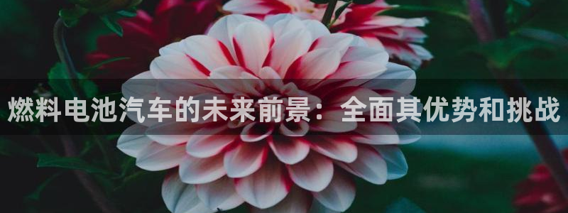 优发国际手机客户端下载官网