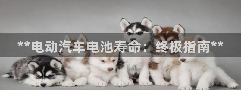 优发国际合并到哪里了啊