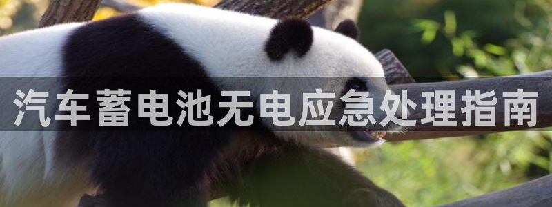 优发国际游戏