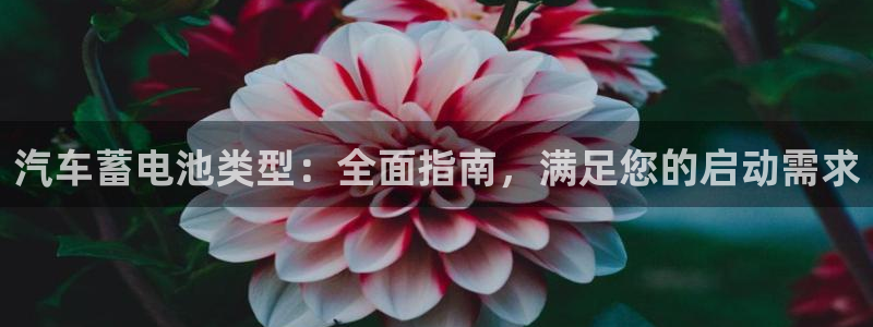 优发国际随优而动一触即发