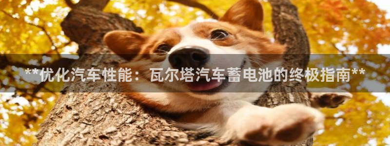 优发国际游戏官方网站