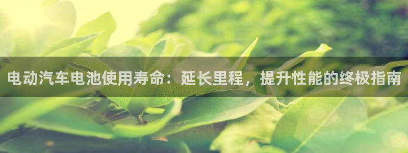 优发国际怎么样
