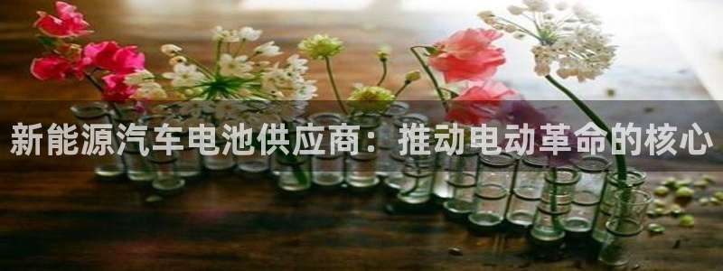 优发国际平台app下载官网