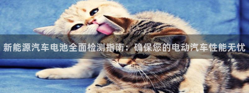 优发国际游戏n