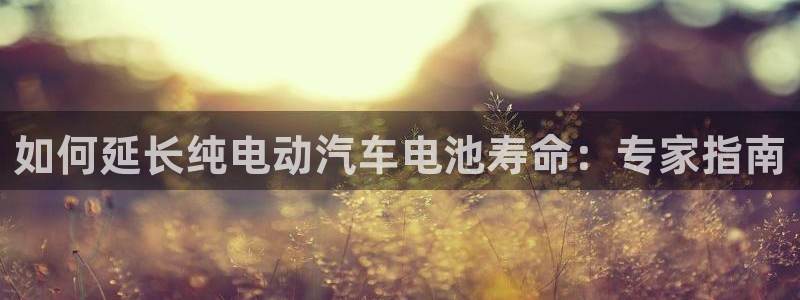 优发国际平台u8怎么样