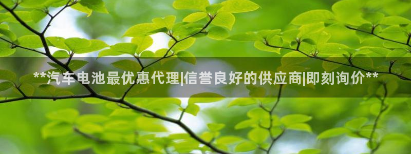 优发国际首页官网