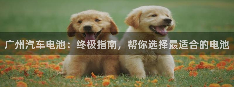 优发国际官方网手机版下载安卓