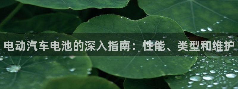 优发国际一首页