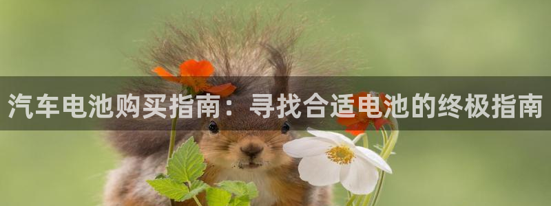 优发国际合并到哪里了
