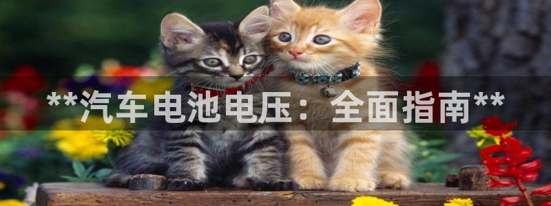 优发国际手机客户端官网下载