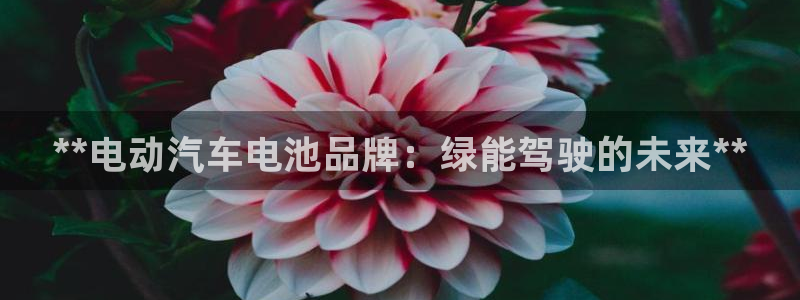 优发国际的网站是