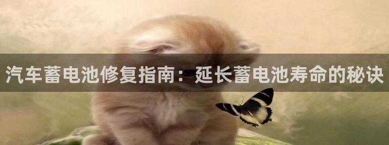 优发国际官网qy88