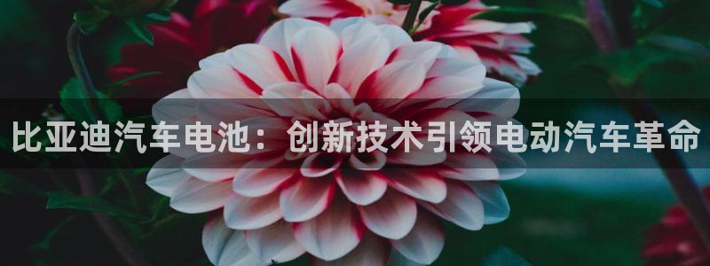优发国际手机版网站