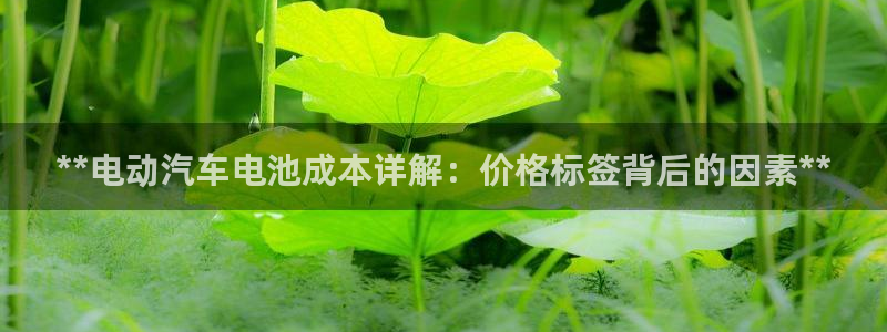 优发国际一首页